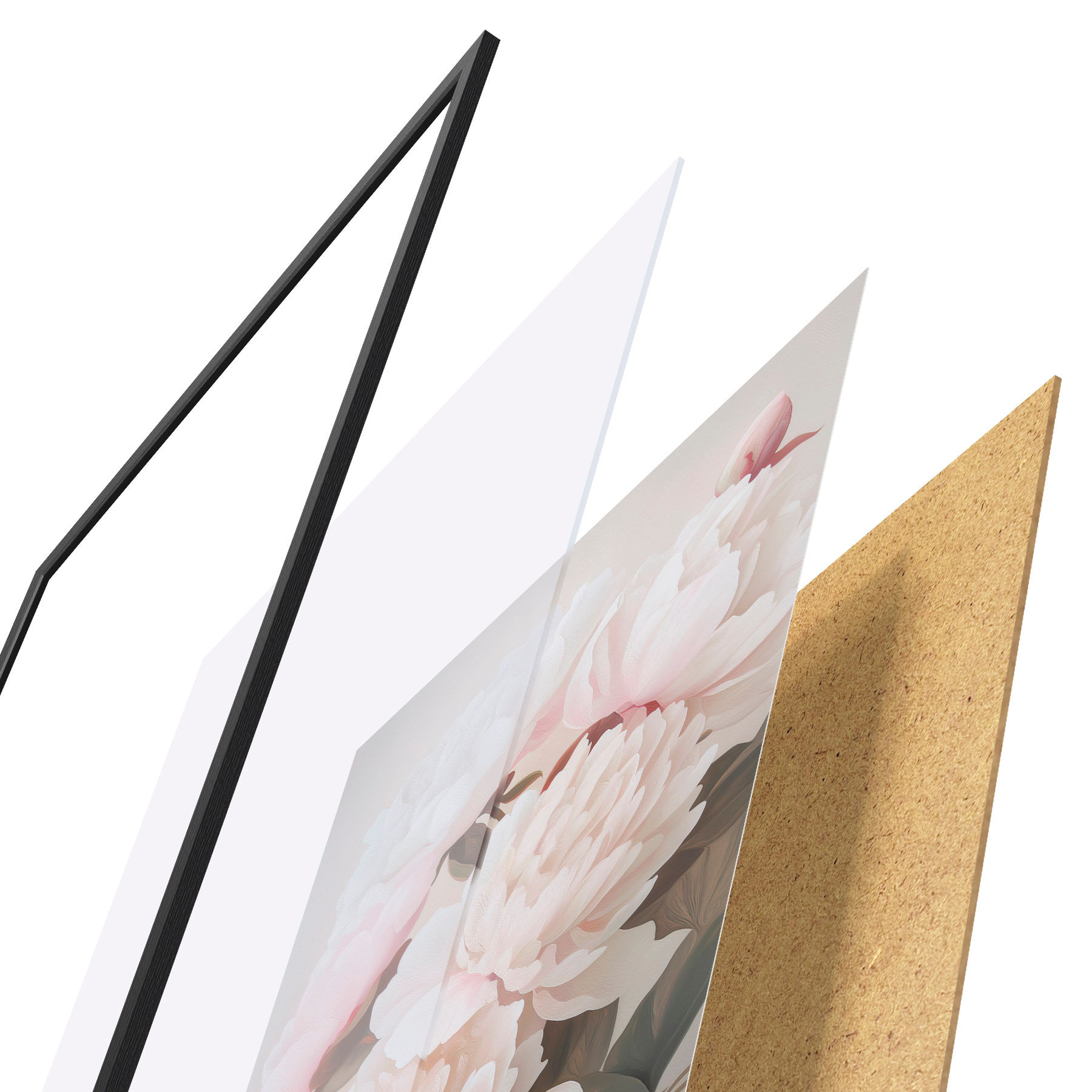 Poster Pioenrozen f51153