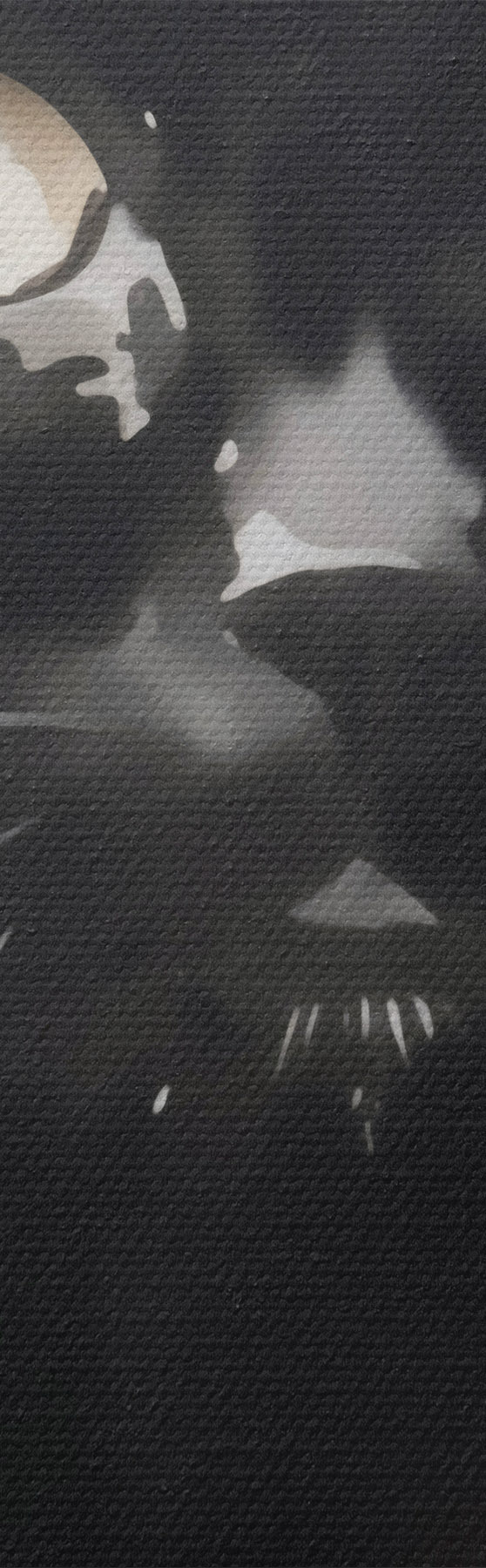  Schilderijen Portret van een kat, imitatie van een schilderij s51169