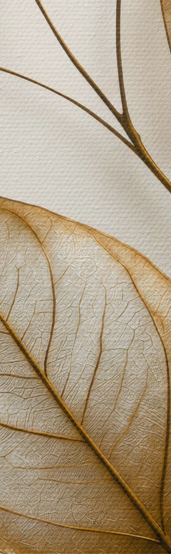  Peintures Élégante branche botanique s50866