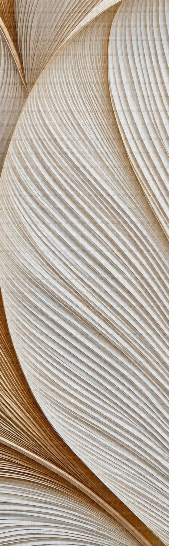  Schilderijen Abstracte bladeren s51177