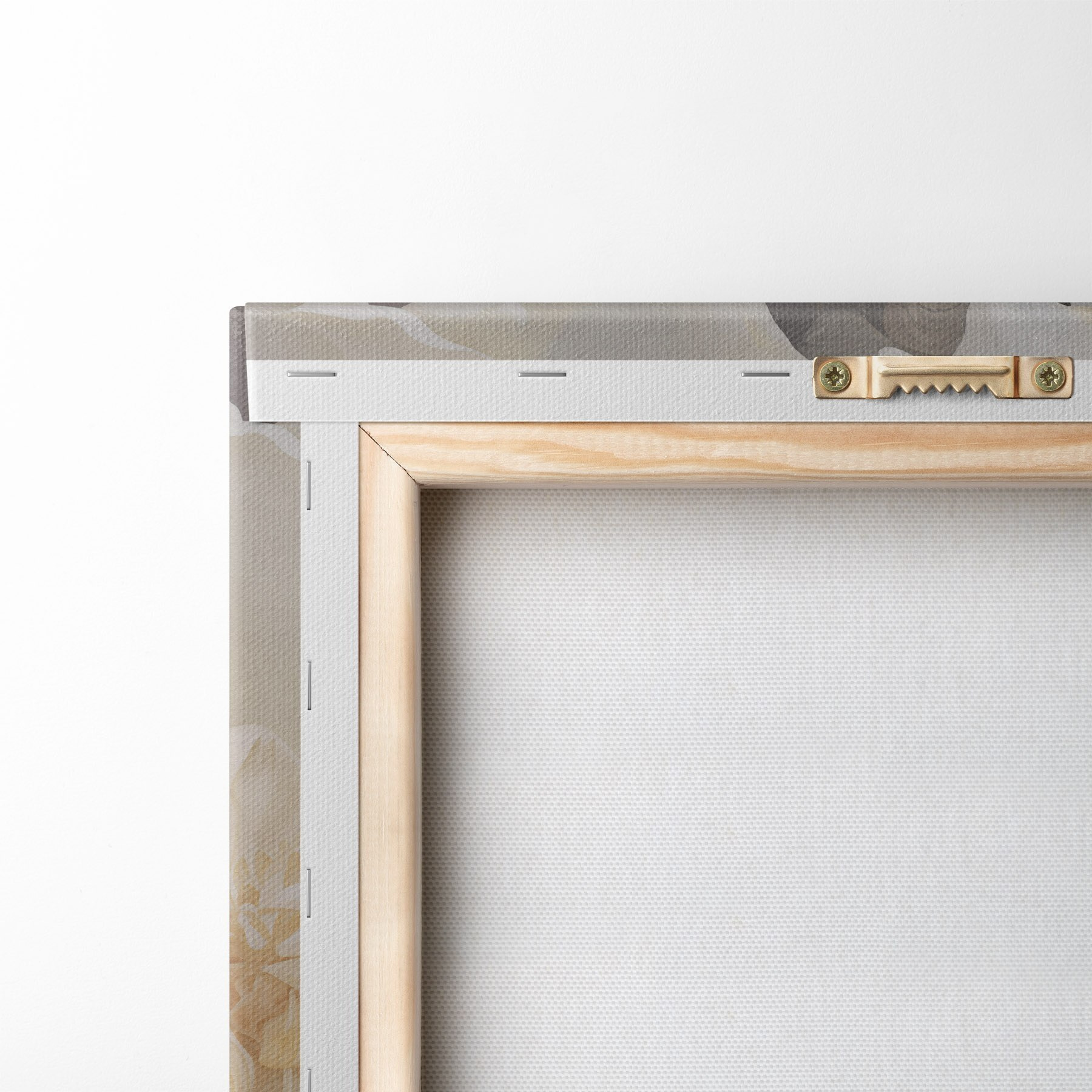  Peintures Gros plan sur des pivoines doubles claires s51088