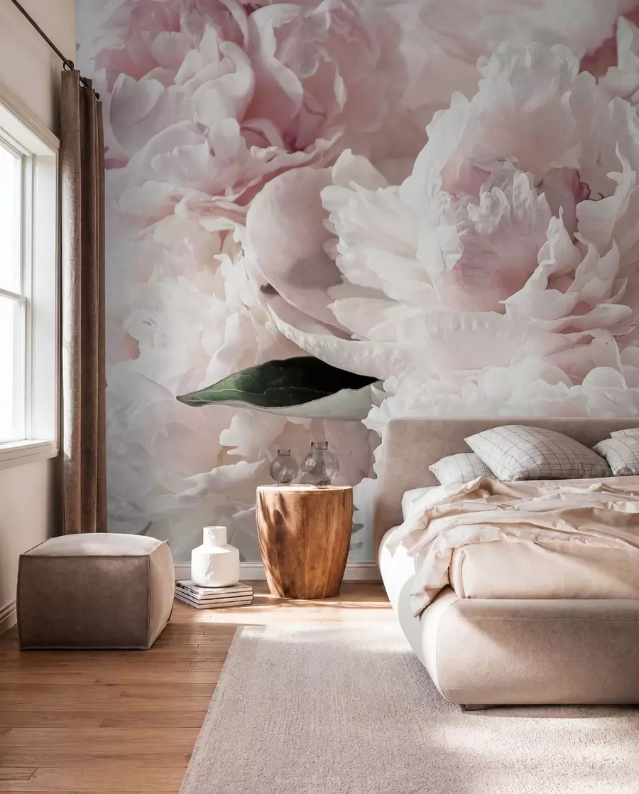 Papier peint photo Pivoines rose pâle u59600