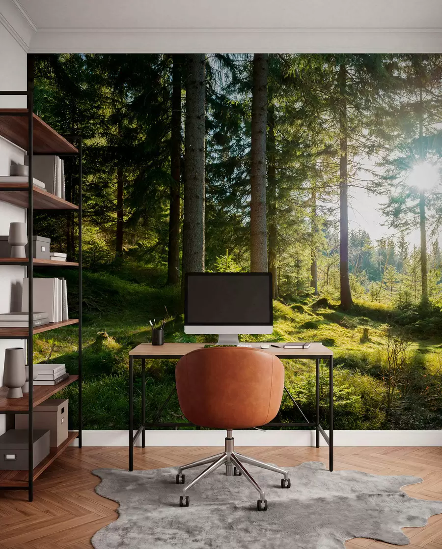 Fotobehang Carkonoshe-gebergte in Polen u80015