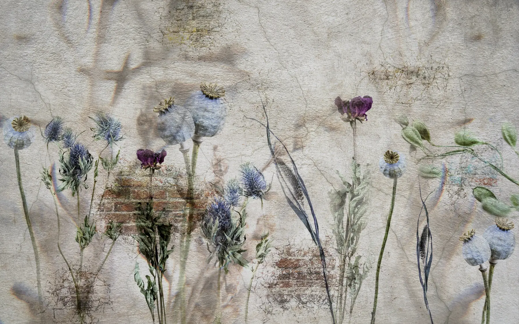 Fotobehang Bloemen en kruiden u72771