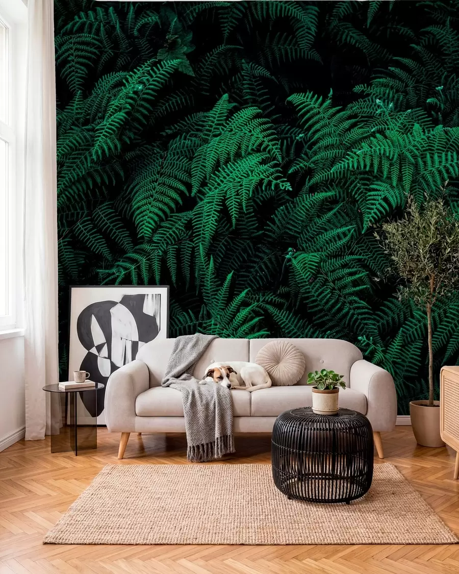 Fotobehang Fern u73636