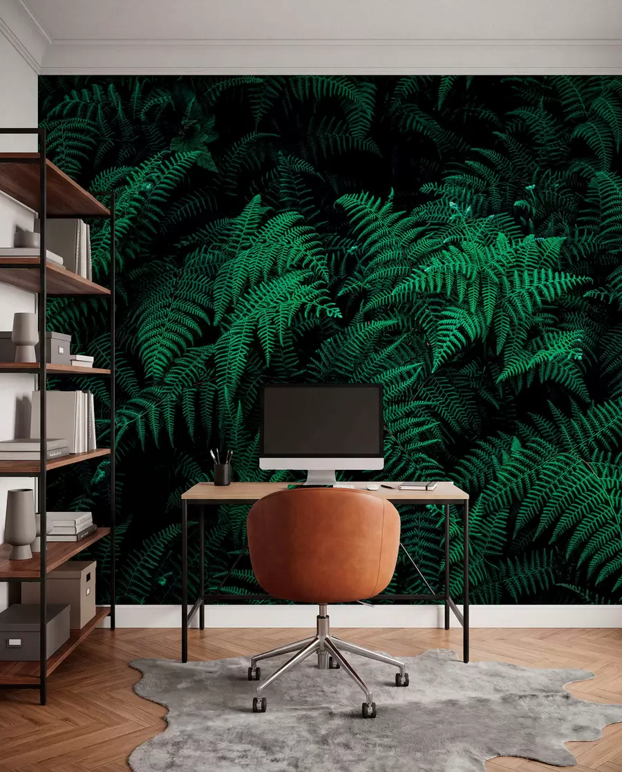 Fotobehang Fern u73636