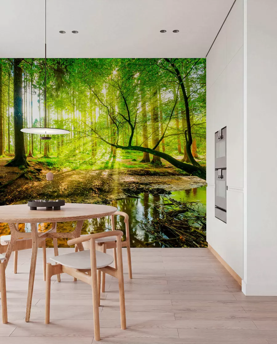 Papier peint photo Transparence du flux forestier u93621