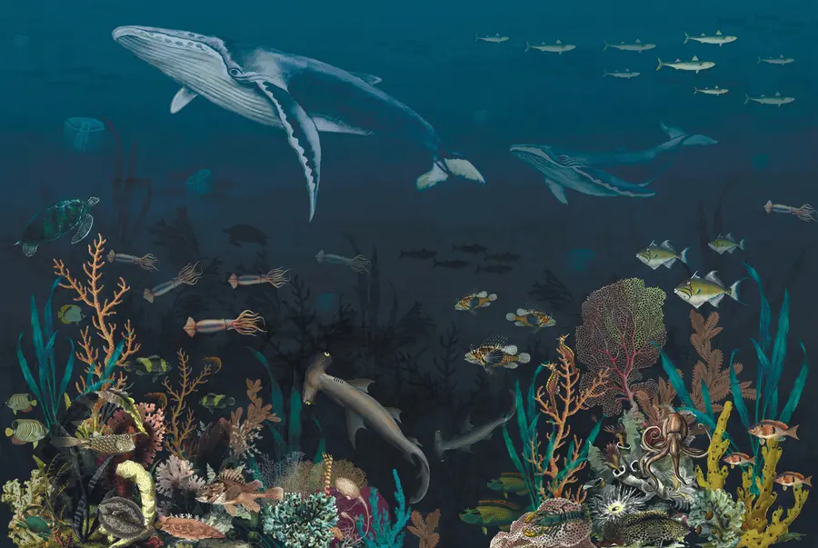 Papier peint photo Habitants de l'océan u73581