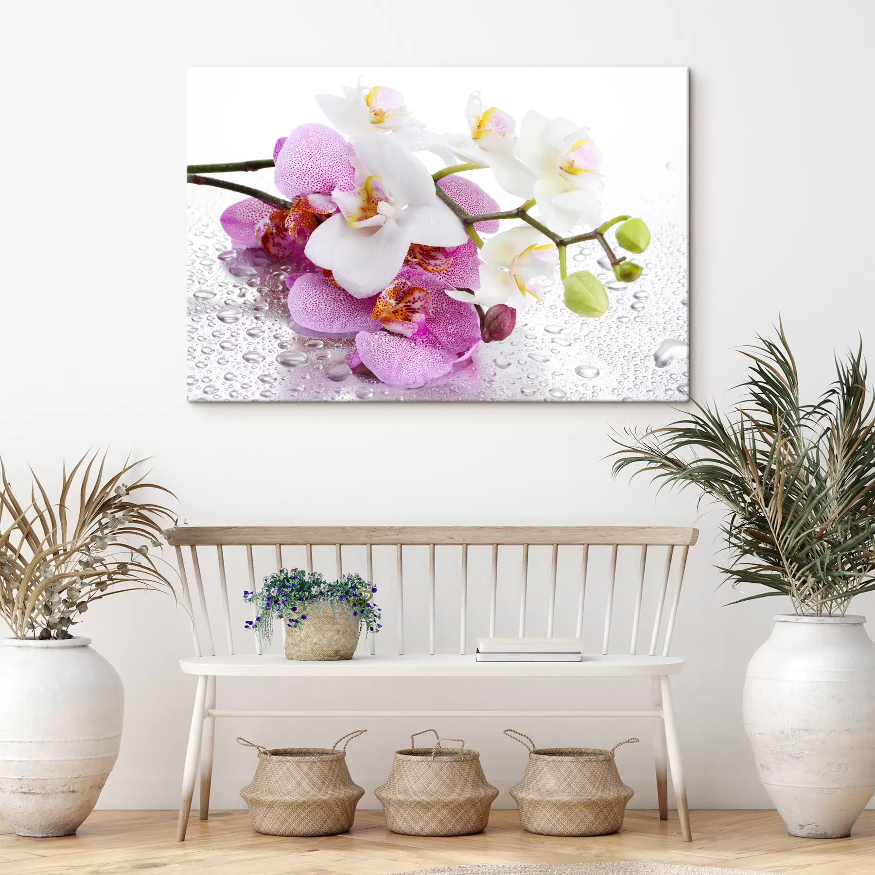 Fotobehang Bloem, plant en bloemblaadje s15063