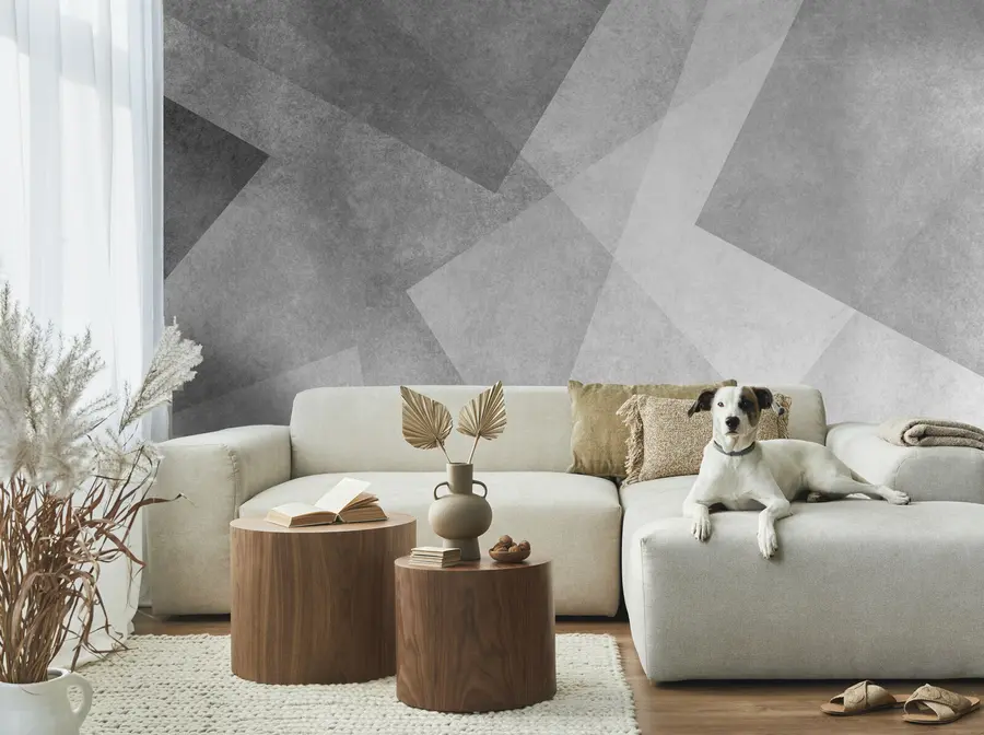 Papier peint photo Abstraction géométrique du gris u74057