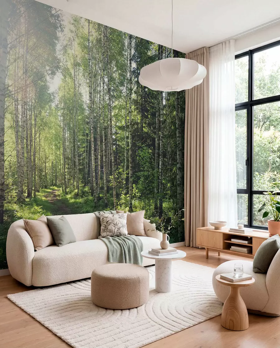 Fotobehang Berken in groen licht u74235