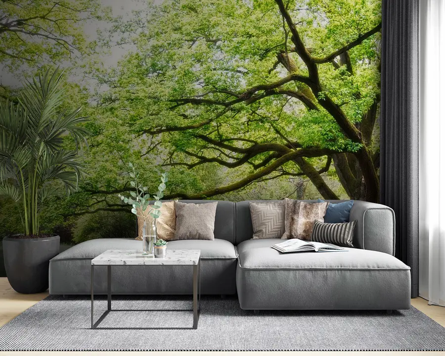 Fotobehang Plant, groen en natuurlijk landschap u55659