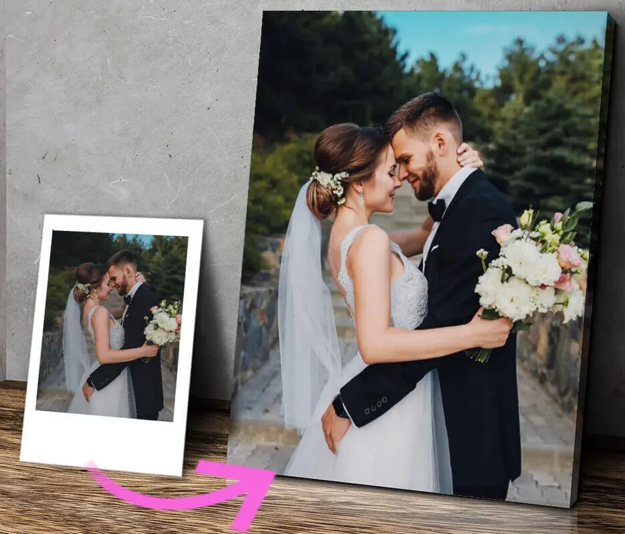  Peintures Fleur, robe de mariée et plante s31872