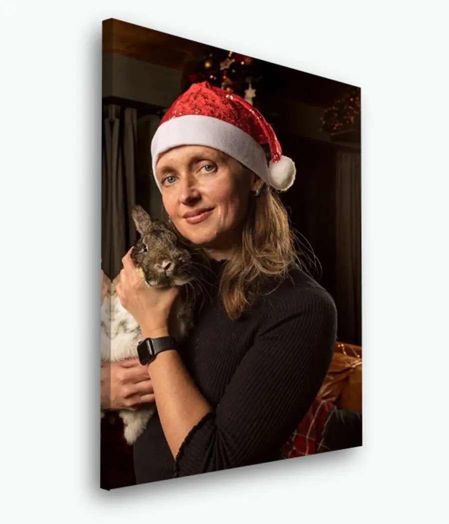  Peintures Image sur toile d'une photo s33444