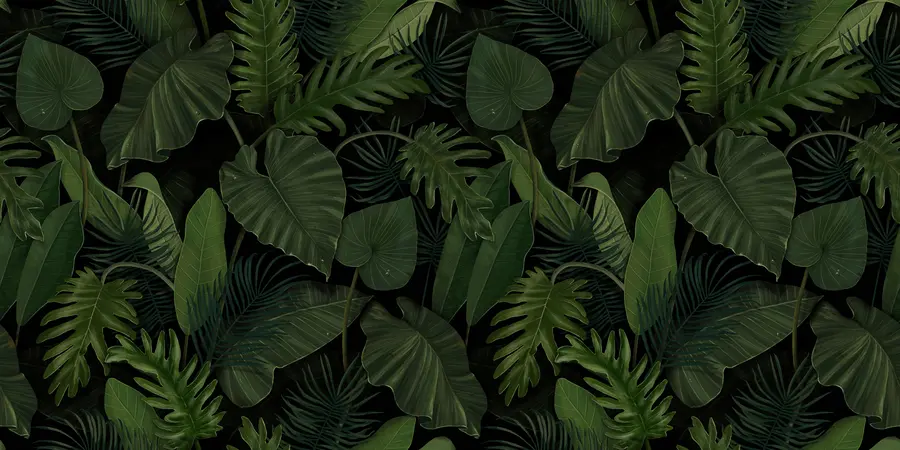 Fotobehang Patroon met tropische groene palm-, taro- en bananenbladeren u95470