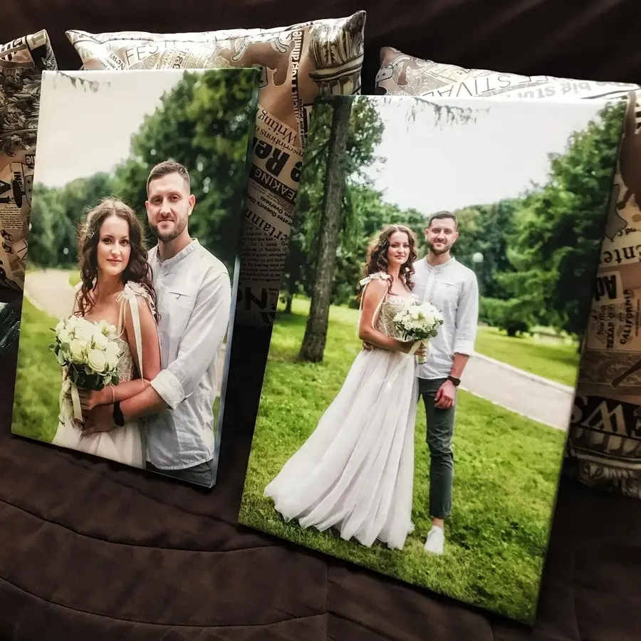  Peintures Sourire, plante et robe de mariée s34650