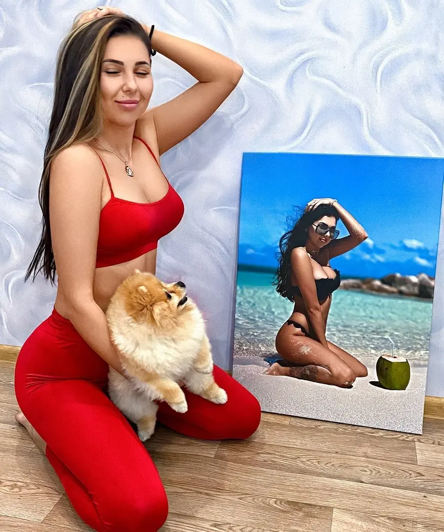  Peintures Chat, jambe et sourire s34697