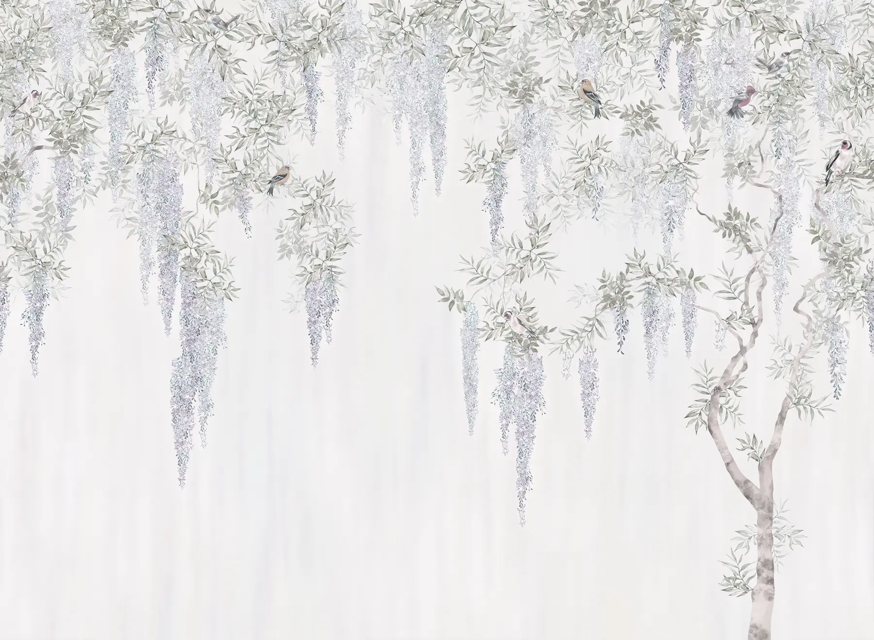 Fotobehang Bloemen van blauweregen, blauweregen, minimalisme, zwart-wit, loft en Japanse stijl u96928