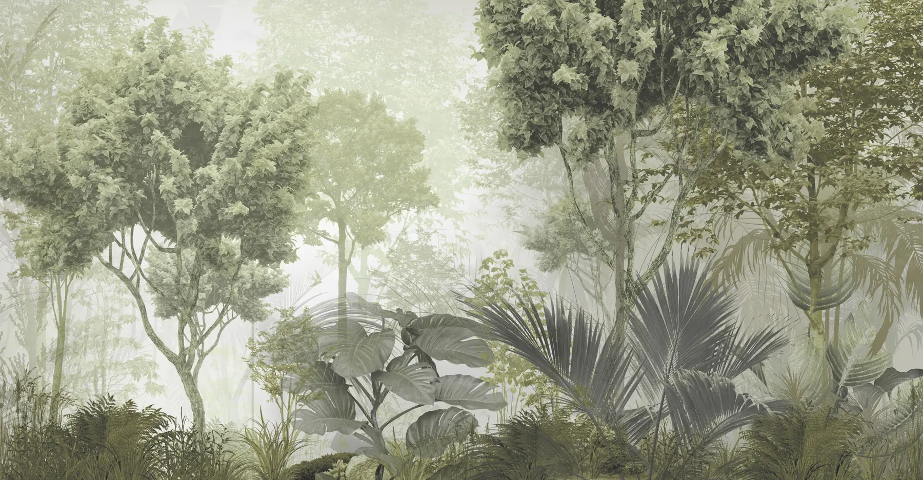 Fotobehang Ochtend in de diepten van het bos u97409