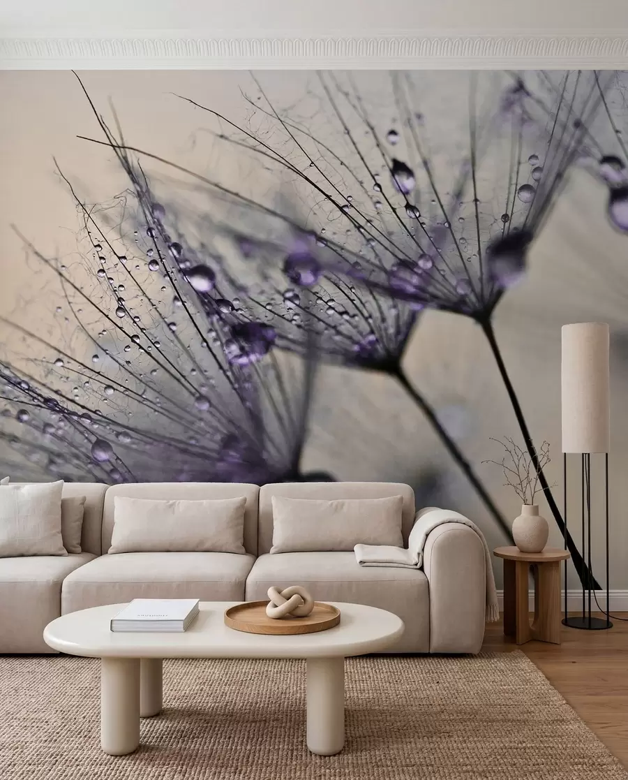 Fotobehang Paardebloemen met paarse waterdruppels u57557v3