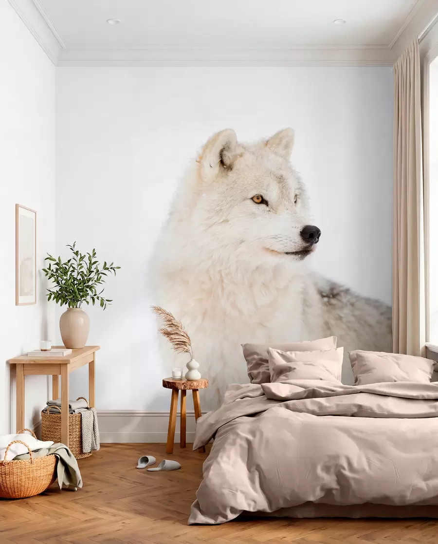 Papier peint photo Loup arctique sur fond blanc u98189