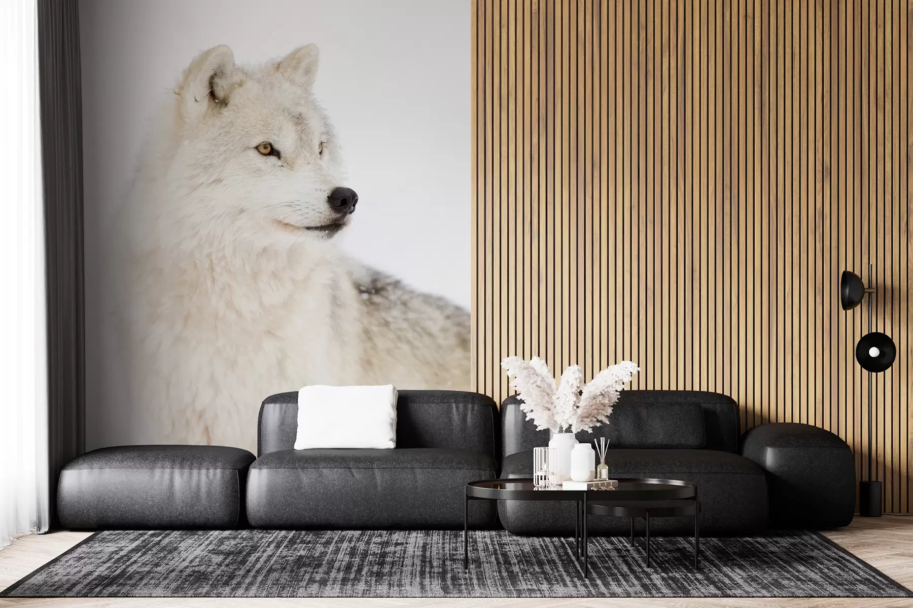 Fotobehang Poolwolf op witte achtergrond u98189