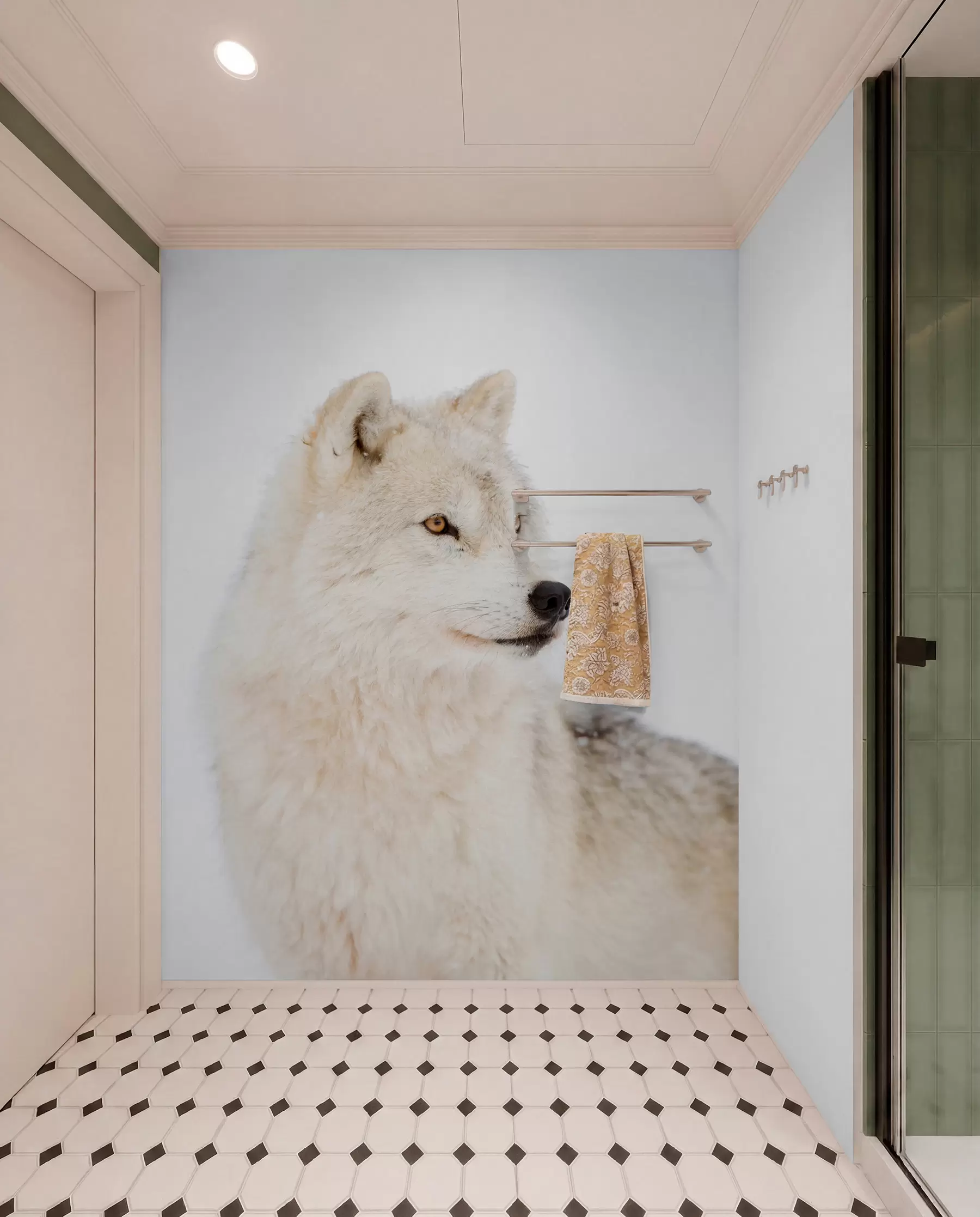 Fotobehang Poolwolf op witte achtergrond u98189