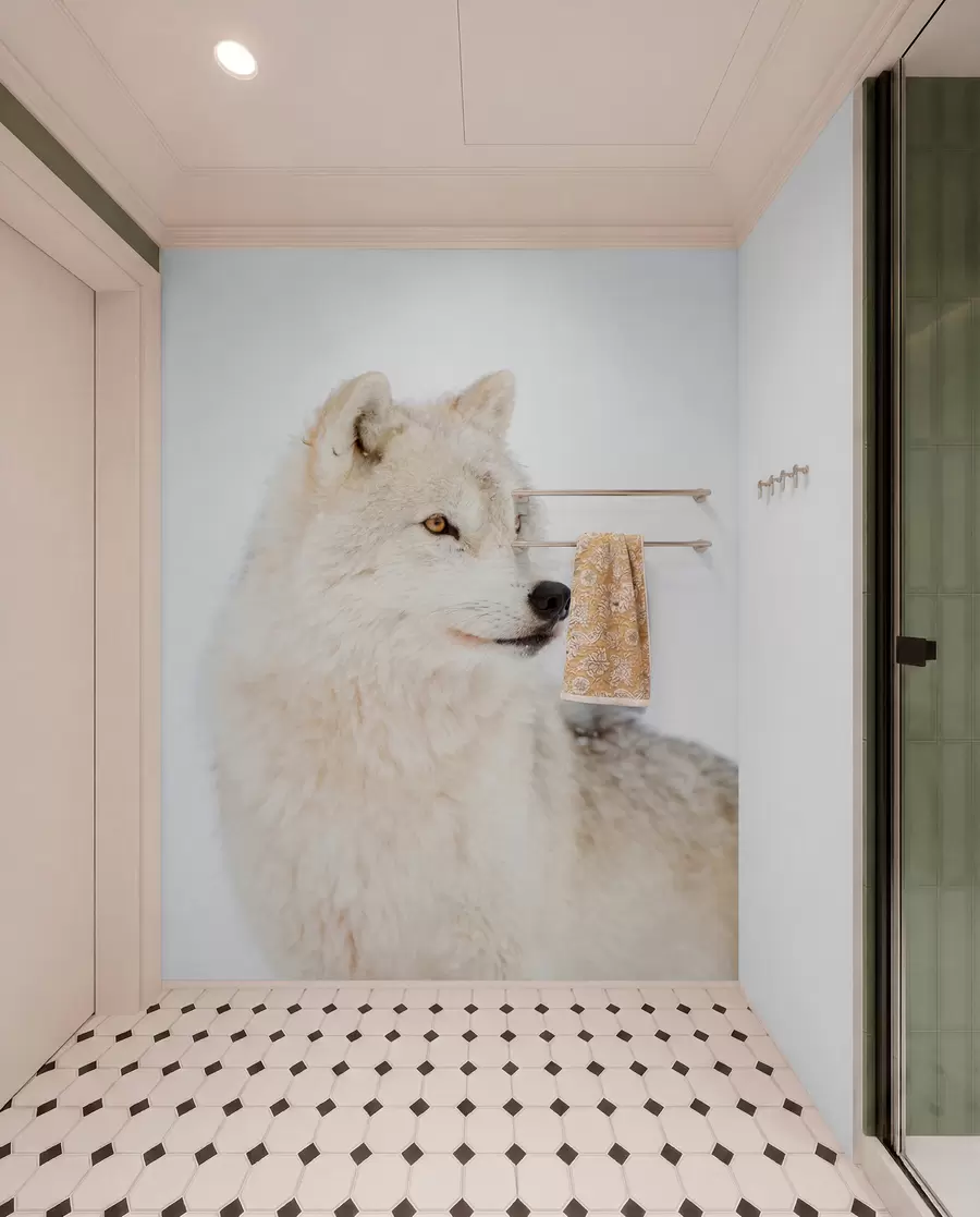Fotobehang Poolwolf op witte achtergrond u98189