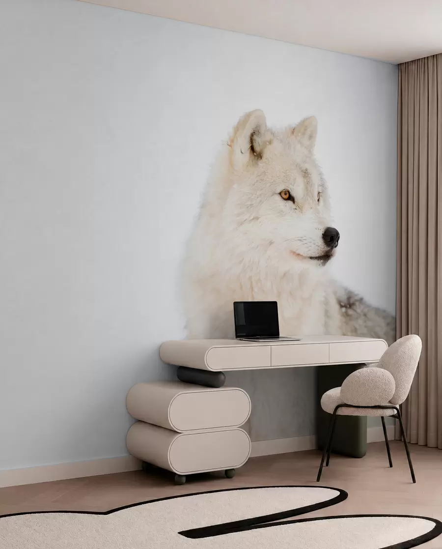 Fotobehang Poolwolf op witte achtergrond u98189