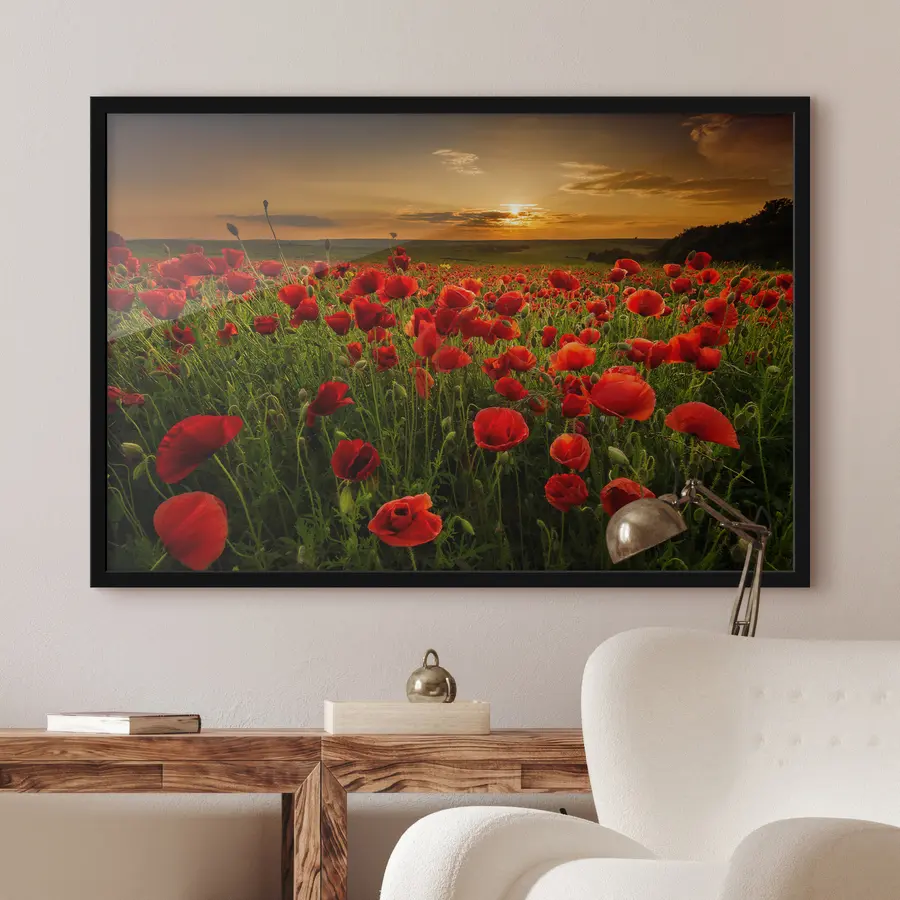 Fotobehang Levendig papaverveld bij zonsondergang f05477
