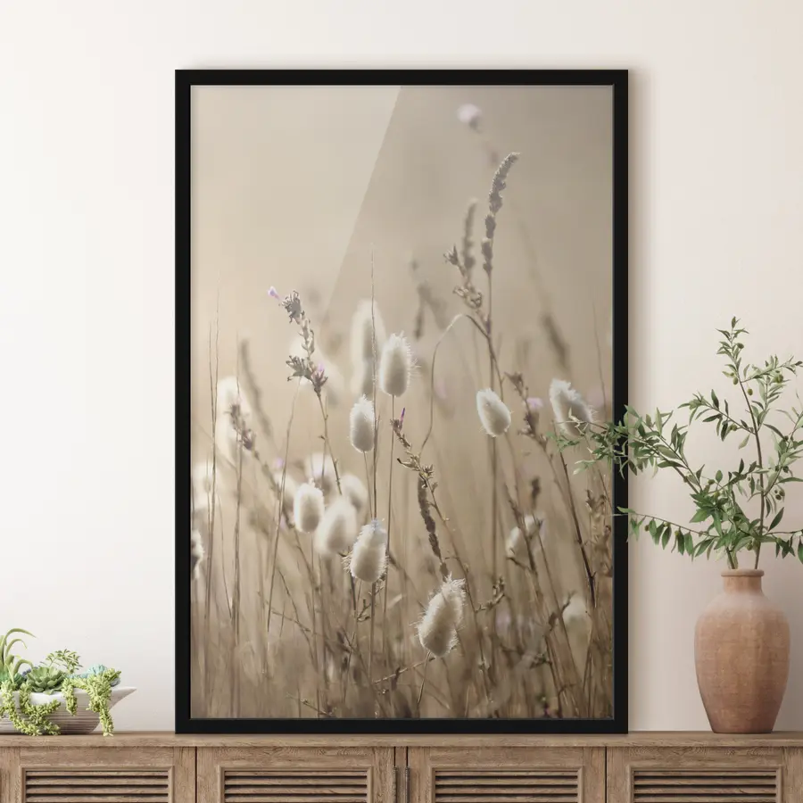 Papier peint photo Fleurs délicates baignées par la lumière dorée du soleil f35256