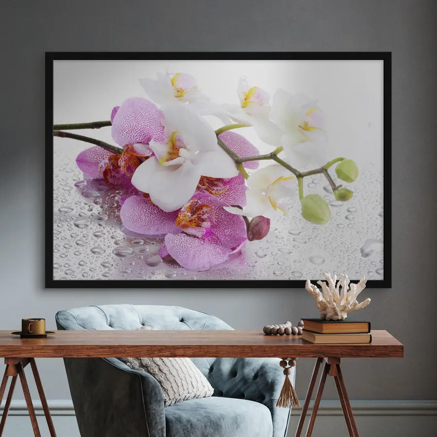 Fotobehang Delicate orchideeën met frisse druppels f15063