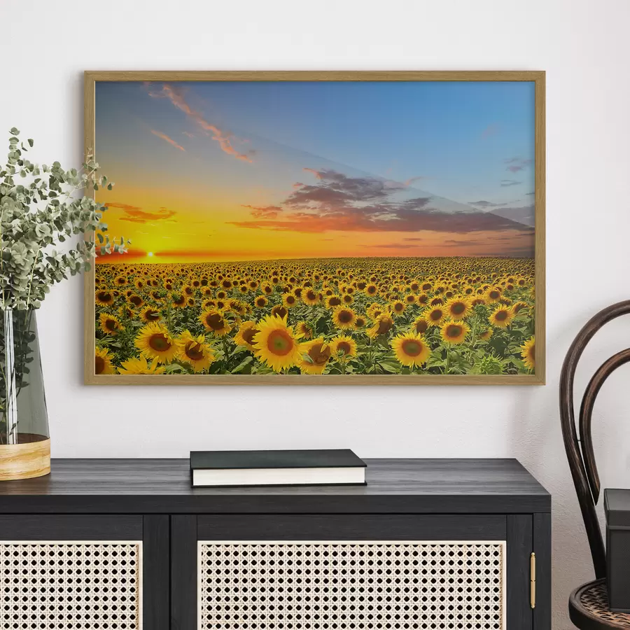 Papier peint photo Champ de tournesols au coucher du soleil. Une vue magnifique f05429